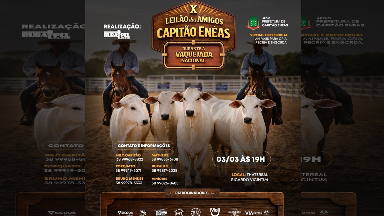 10° Leilão dos Amigos