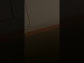 【弾けなかった】 長谷川白紙-ニュートラル #1人デュオ