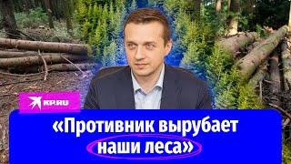 Зампред ДНР Владимир Ёжиков: «Противник вырубает наши леса»