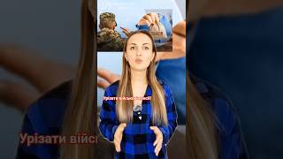 Верховний Суд: урізати військові пенсії — незаконно!#новини #українськіновини #новиниукраїни #пенсія
