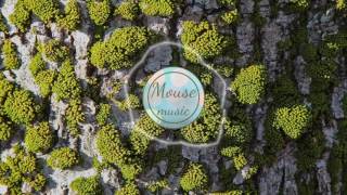 Arms and Sleepers - Sooner or Later (Mr. Ben Brown Vlog Music) | Mouse Music