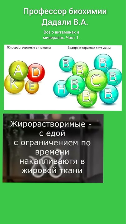 Жирорастворимые и водорастворимые витамины - YouTube