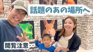 【沖縄新スポット】子連れ必見！体験型いきもの施設が凄すぎた。※虫や爬虫類が苦手な方はご注意ください