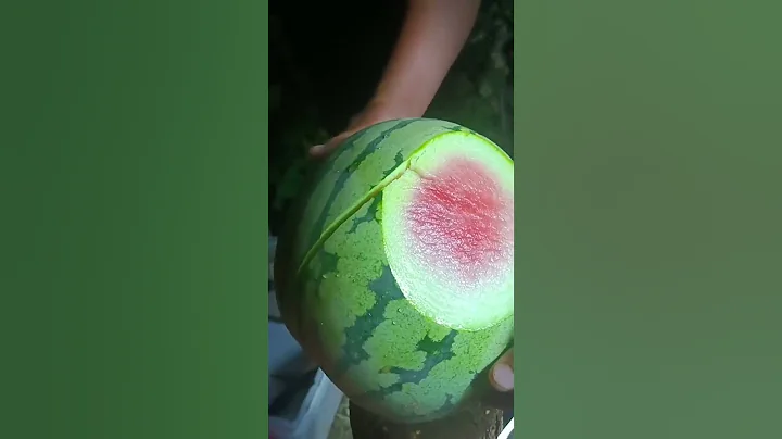 Funny Watermelon Prank 🤣 #shorts #short #viralvideos #viralshort #funny #youtubeshorts #shortsfeed