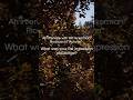 Interview with Will Ackerman Q3 #georgewinston #autumn #autumnplaylist #fallmusic #piano #solopiano