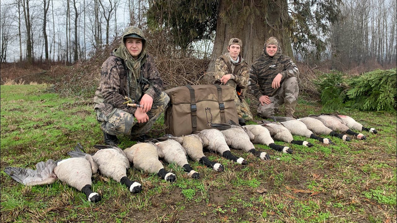 Late Season Goose Hunt in a Hay Field!! YouTube