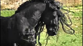 Spanish Guitar - Best Hits Vol.2 - Part 1