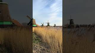 #ZaanseSchans, #бондарь, #мастерская, #ремесло, #Тимстра, #история