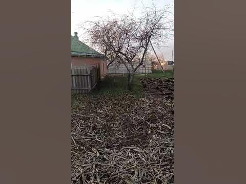 кизяк вожу - YouTube