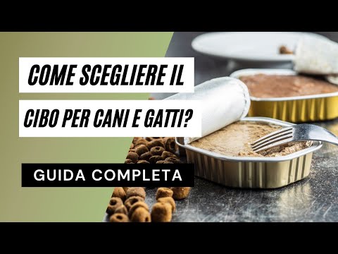 Video: Scegli il cibo migliore per il tuo cane