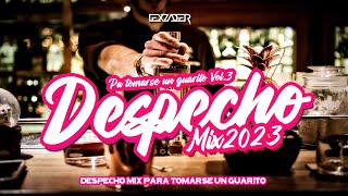 DESPECHO MIX 2023 - (Vete Aléjate de mi, No me vuelvo a Enamorar, Ahora que puedo, Bohemio y Galán) by LEX DALE PLAY 7,206 views 6 months ago 14 minutes, 33 seconds