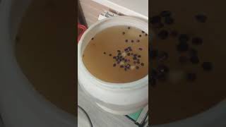 :  ,    . .3 ( )