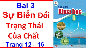 Vở Bài Tập Khoa Học Lớp 5 Sách Cánh Diều Bài 3 | Sự Biến Đổi Trạng Thái Của Chất | Trang 12 - 16