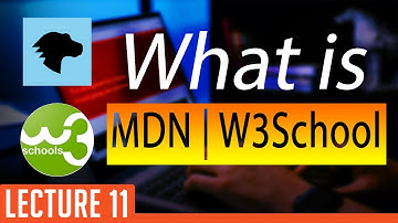 What is MDN Dev Documentation | W3Schools | Lecture 11 | Hindi/Urdu
