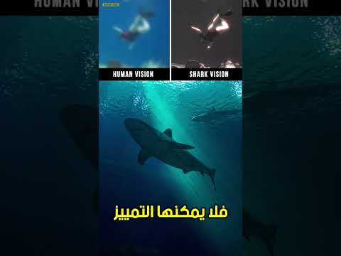 كيف ترى الأسماك و الحمام و الضفادع العالم