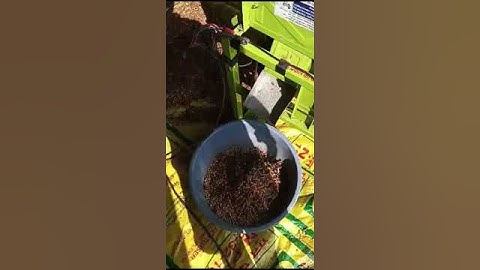 SoyAbean cleaning n grading machine WhatsApp me +91 93402 60259