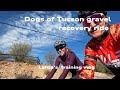 Dogs of Tucson gravel recovery spin