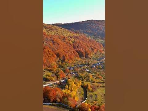 Слёзы осени... Невероятно красивая музыка осени! Сергей Грищук ...