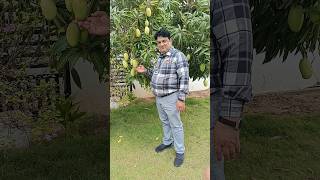 LIC🥀 product manager SRI VIDYASAGAR KUMAR 🥀 MANGO TREE🥀 NELLORE🥀