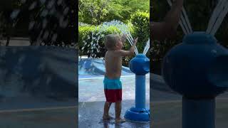 Cuteness overload! Happy David is having fun on the splash pad