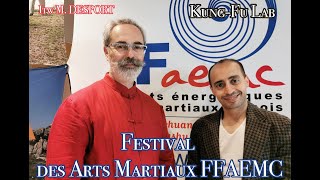 Festival Des Arts Martiaux Ffaemc Itw Christian Desport