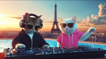 DJ MIAWW Live – Chill House Grooves with the Coolest Cat Duo 🐾💕 | Love Beats by the Pool