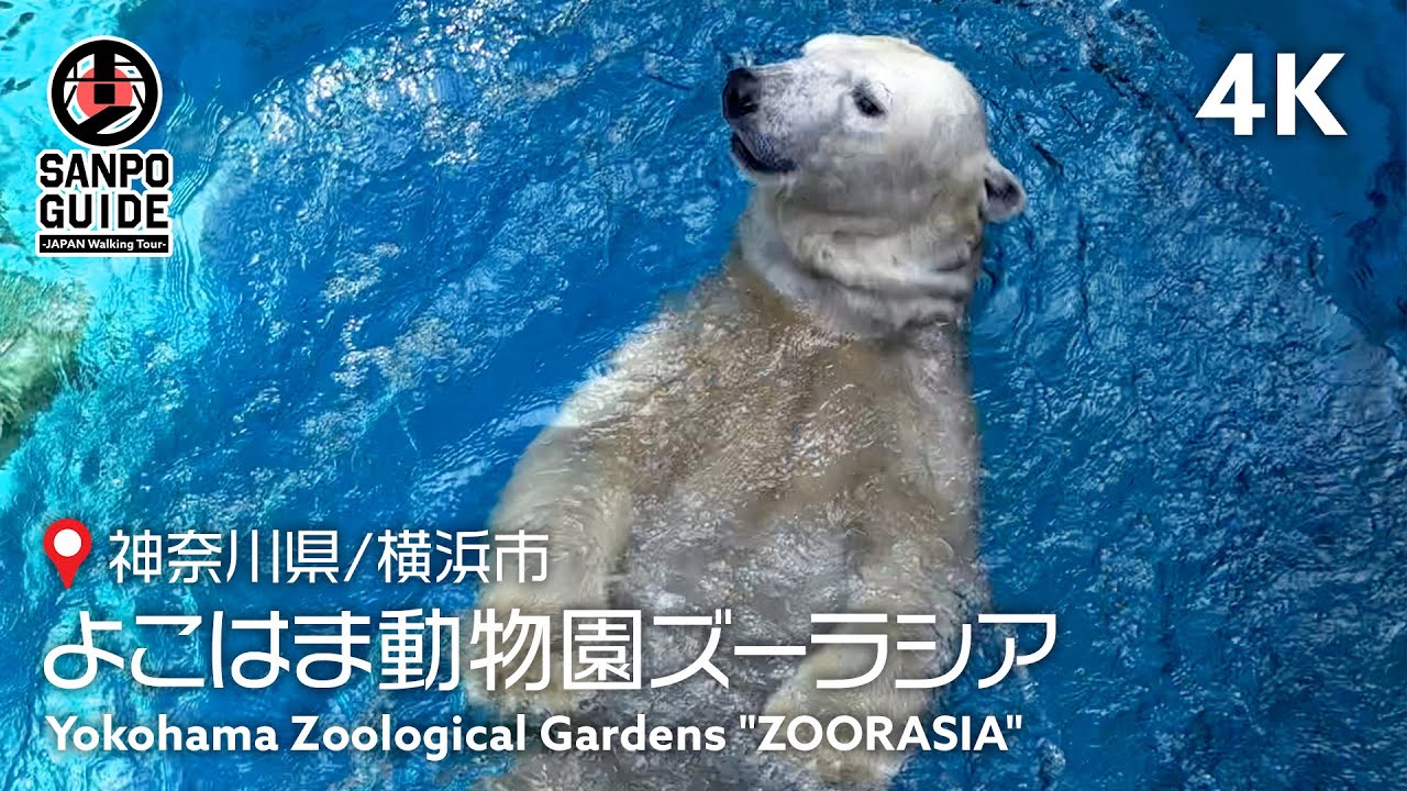【ズーラシア】ハイクオリティな「世界旅行ができる動物園」はGWの絶対外さないスポット| 神奈川散歩