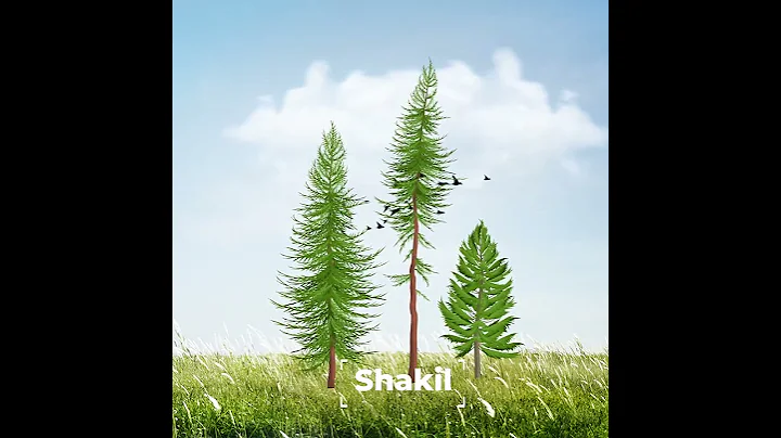 Tree Animation | 2D Animation in After Effects | Motion Graphics