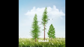 Tree Animation | 2D Animation in After Effects | Motion Graphics