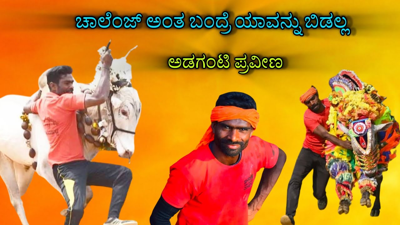 Adaganti praveen 🔥🔥#bull #horihabbada #jallikattu #cow 