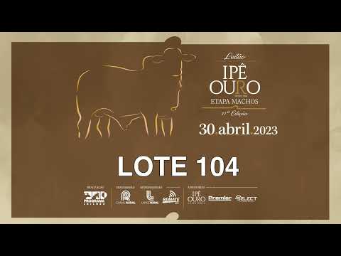 LOTE 104 IPE 5892