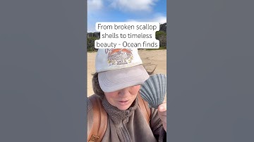 ✨ From Broken Scallop Shells To Timeless Beauty | Ocean Finds 🌊🐚 #shorts