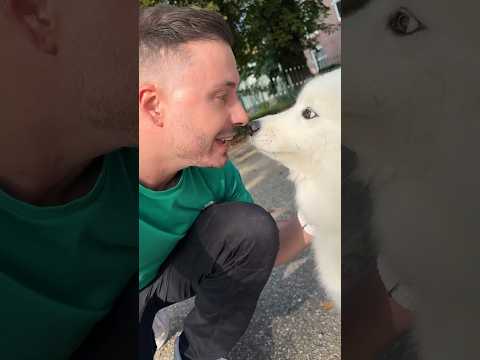 Herkent Paco mij