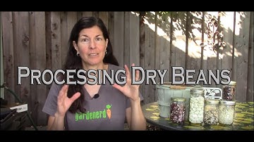 Processing Dry Beans for Storage to Eat Year-Round