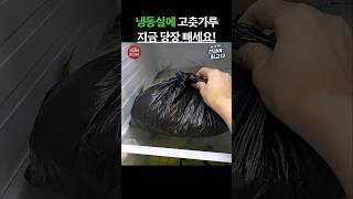 냉동실에 고춧가루 이걸 조심하세요 #건강정보 #음식