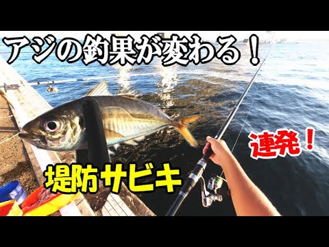 堤防サビキ釣りでアジの釣果が２倍に変わる竿と釣法 夕マズメに色々な竿と釣り方を試したら答えが判明 アジ サバ カマスが釣れた Youtube