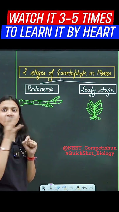 PROTONEMA & LEAFY STAGE in moss | QuickShot Biology| #ncert#neet2025#neet