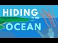 What's Hiding Deep Within The Ocean?