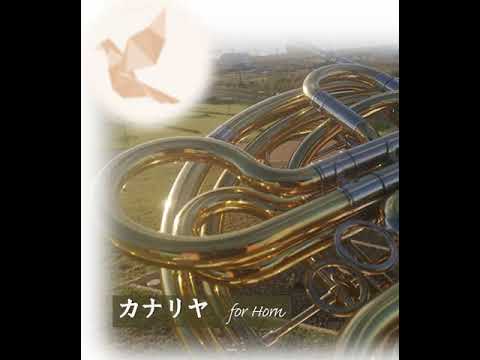 米津玄師／カナリヤ　ホルンで吹いてみました