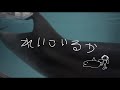 「れいこいるか」予告編