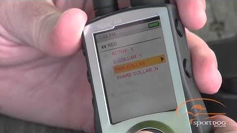 TEK 1.0 - Pairing Additional Collars to Your TEK Series System - US