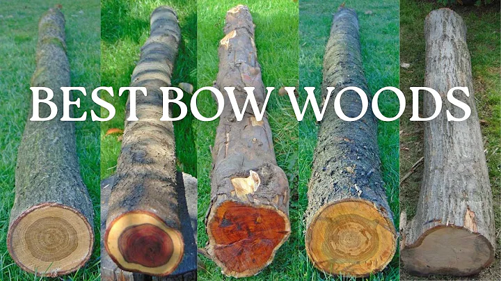 The Best Bow Wood After Building 100 Bows