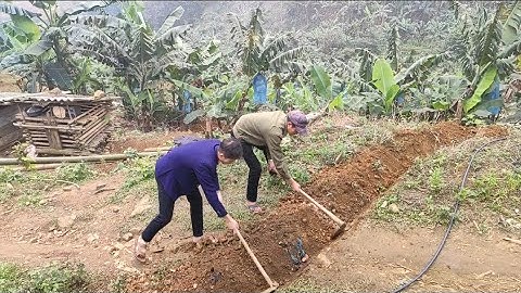 Trình Tường TV | Kéo Nước Về Nhà Mới Cho Bà Cụ Neo Đơn Cói Lalin