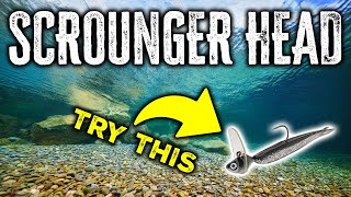 Celebrity How to Fish Scrounger Heads: Will Davis Jr.'s Proven Big Bass Fishing Tips Wealth