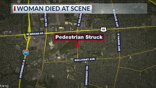 Pedestrian struck, killed in southwest Columbus