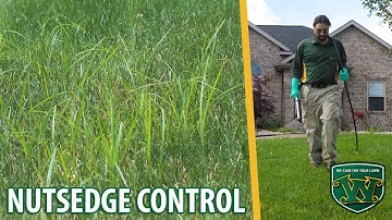 Nutsedge Control - Completed Service Video