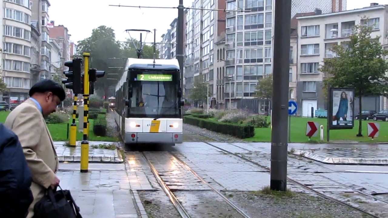 Antwerpen Hermelijn Low Floor Trams