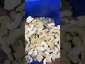 JH cashew quality #share #traffic #food #delhi