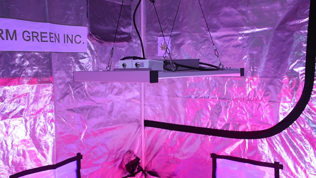 ECO Farm 240W/320W Dimmable Quantum Board With Samsung LM301B/ LM301H Chips Sperately UV IR Control