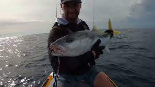 Match the hatch Jigging for Yellowtail Kingfish